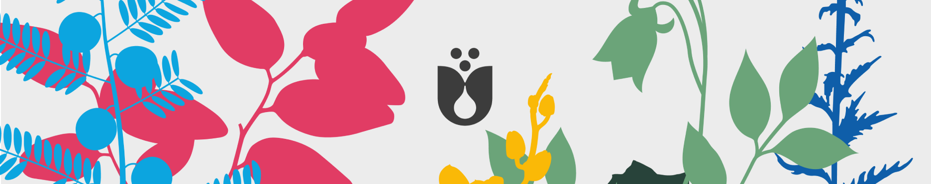 companies-component-bg